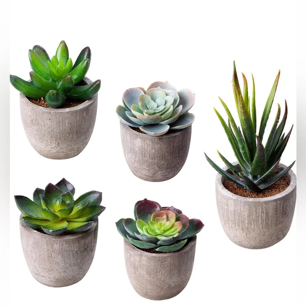 {SHEIN} Jelofly Artificial Succulent Plants Assorted in Gray Pots Set of 5
